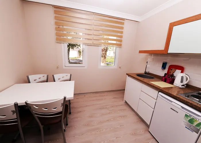 호텔 Hanedan 포카