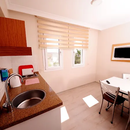 Отель Hanedan 3*