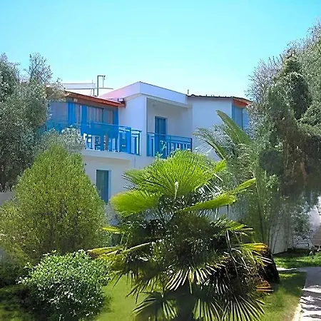 Hanedan פוצ'ה