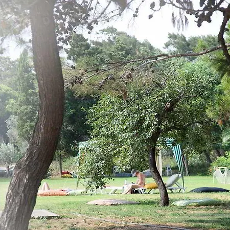 Hanedan Фоча